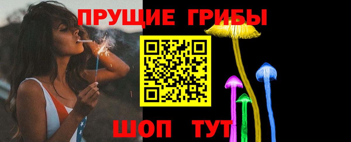 Псилоцибиновые грибы Psilocybe  Вход с VPN  Чехов 